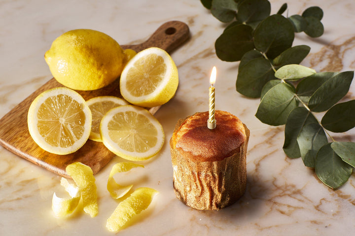 Cancake Food Cancake Cake