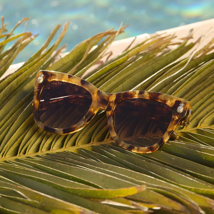 DIFF Sunglasses White Lotus - Hawaii Coconut Sunglasses