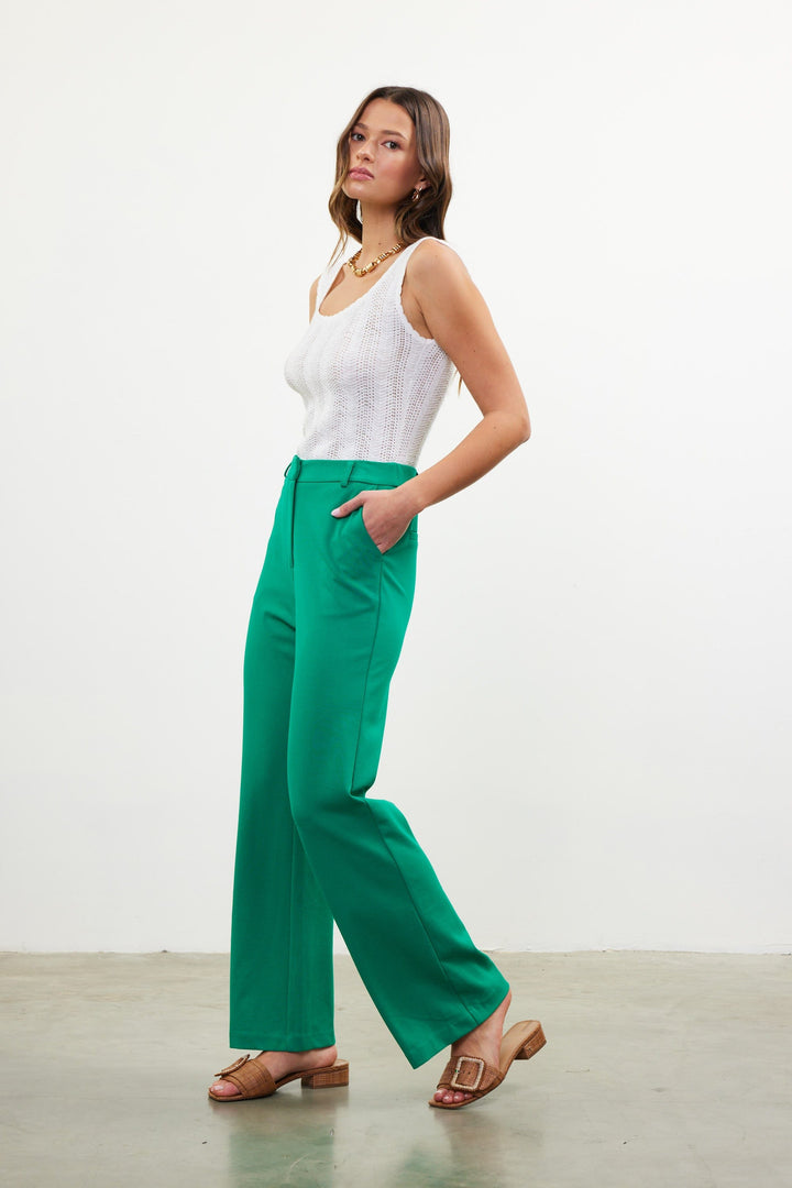 Skies Are Blue Pants Celine Straight Fit Pants