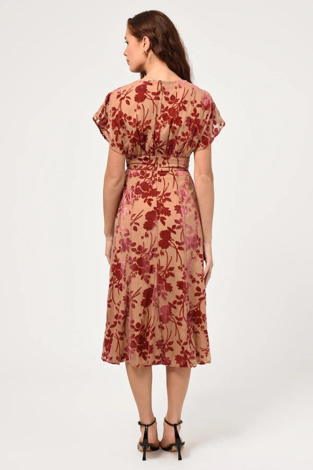 Adelyn Rae Dress Klaris Velvet Burnout Midi Dress
