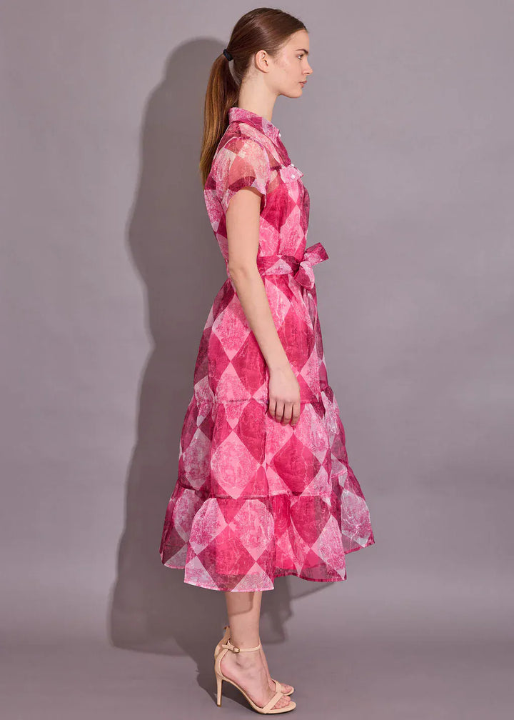 Alden Adair Dress Rachel Dress