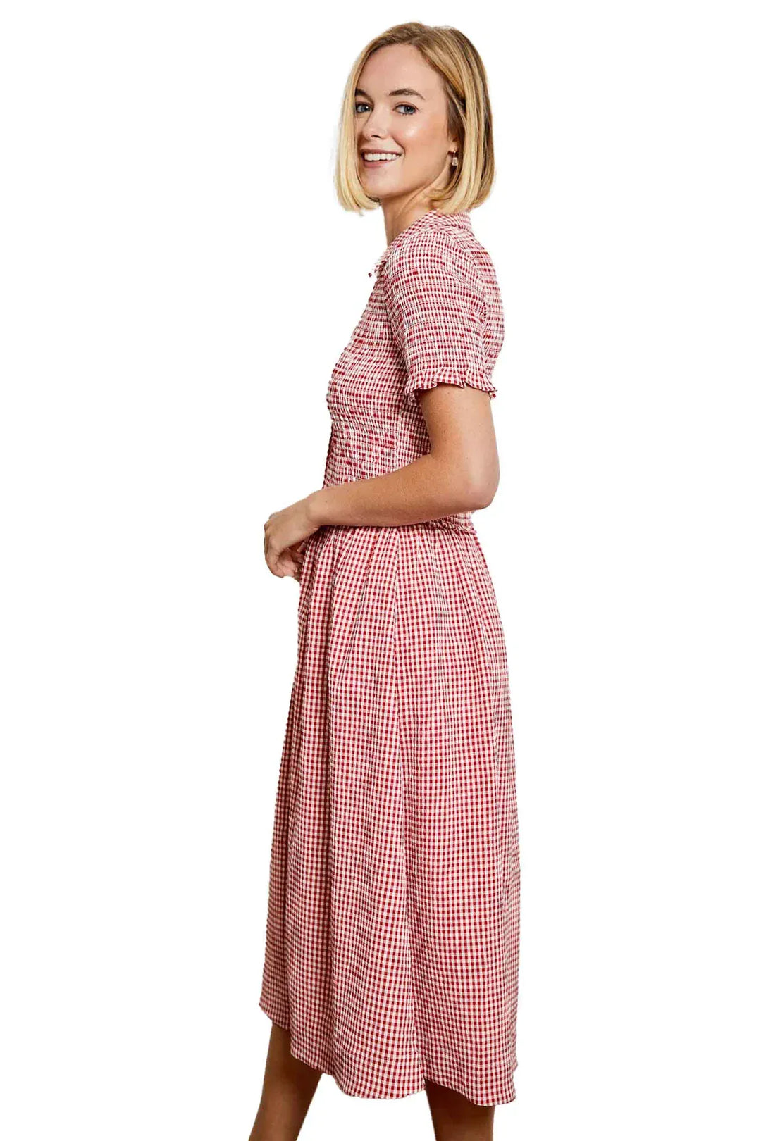 Design History New York Dress Saylor Gingham Dress