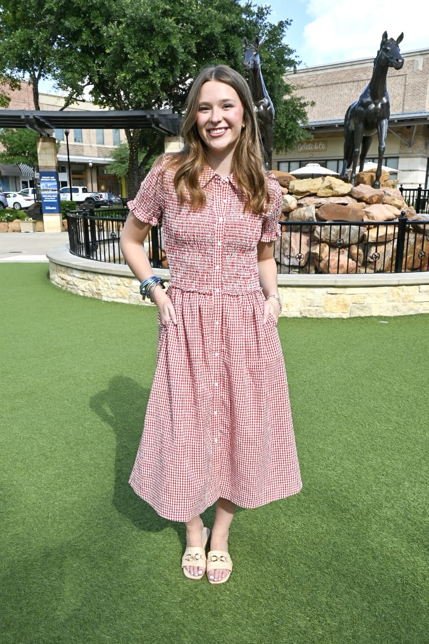 Design History New York Dress Saylor Gingham Dress