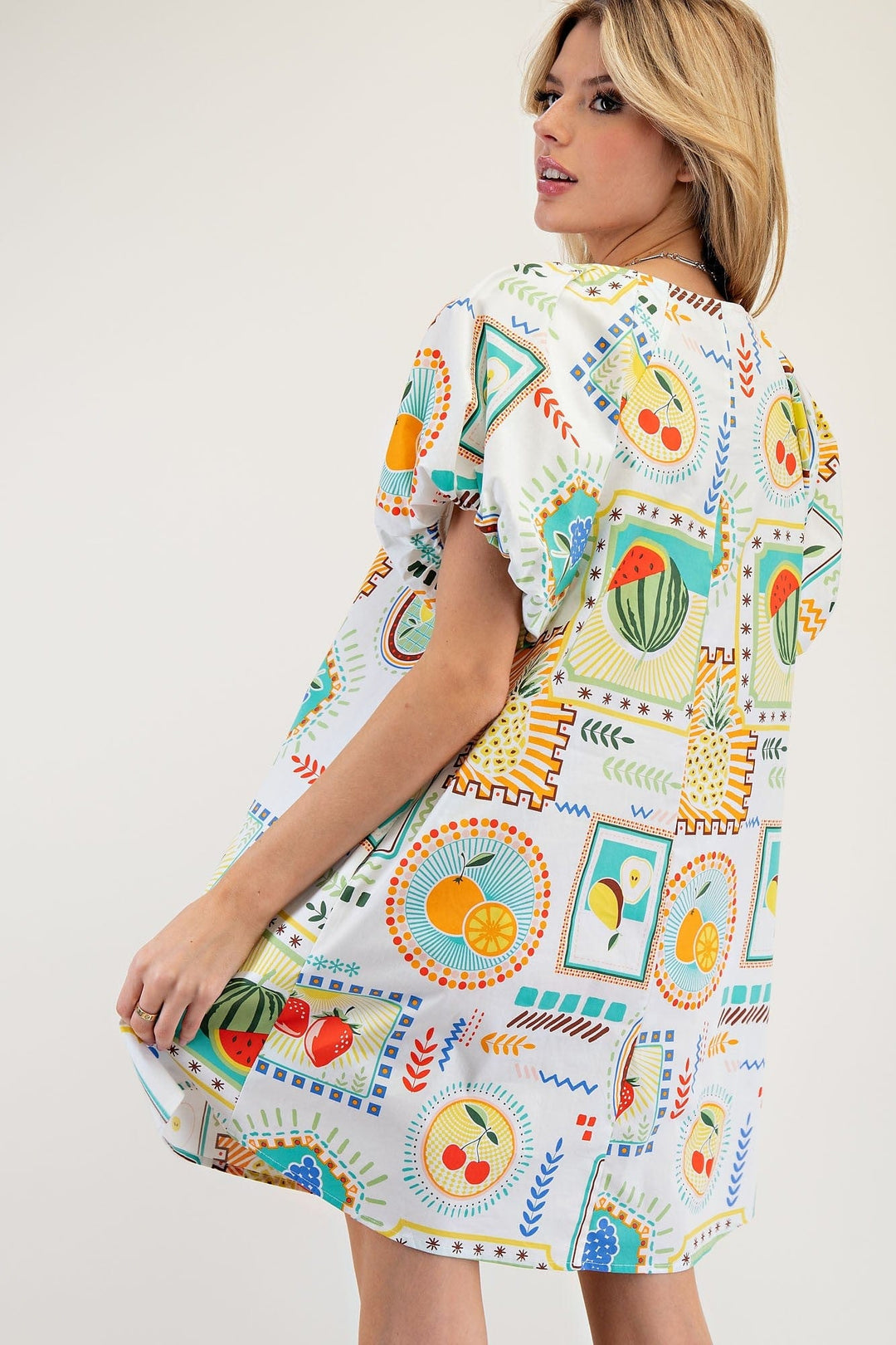 Easel Dress Quinn Poplin Dress