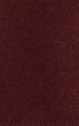 Entro Dress Burgundy / S Gianna Strapless Midi Dress