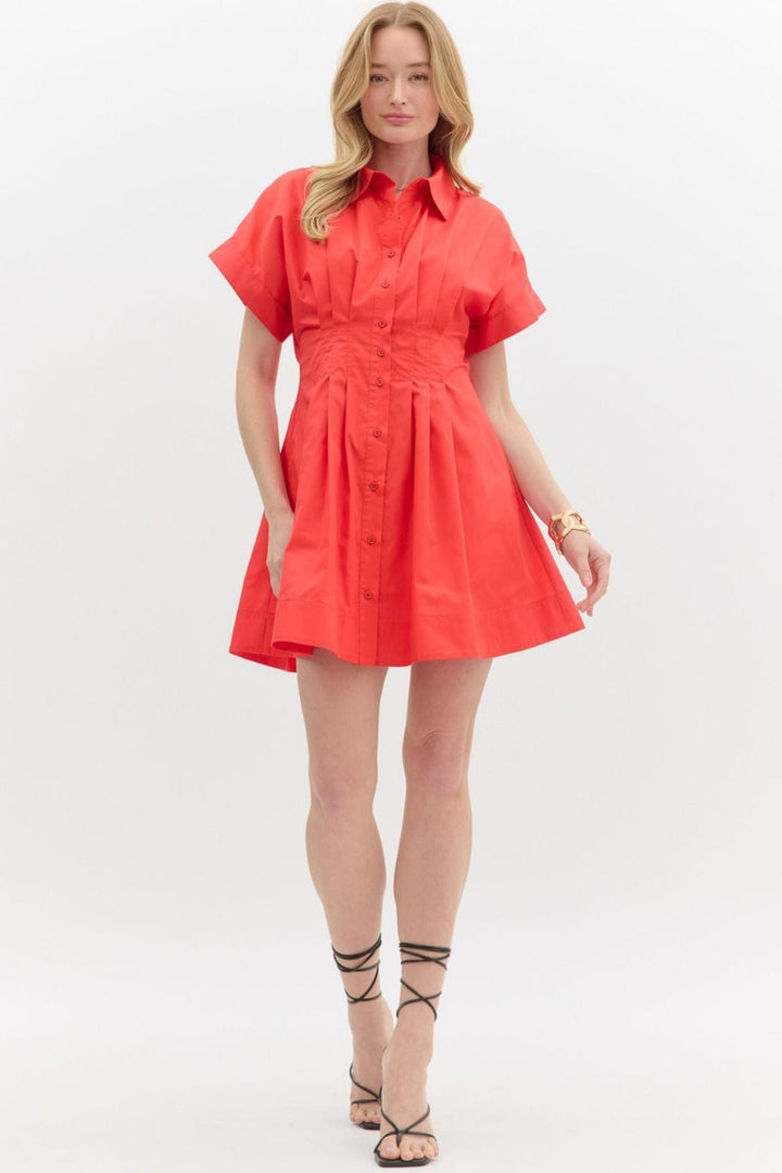 Entro Dress Margot Pleated Dress