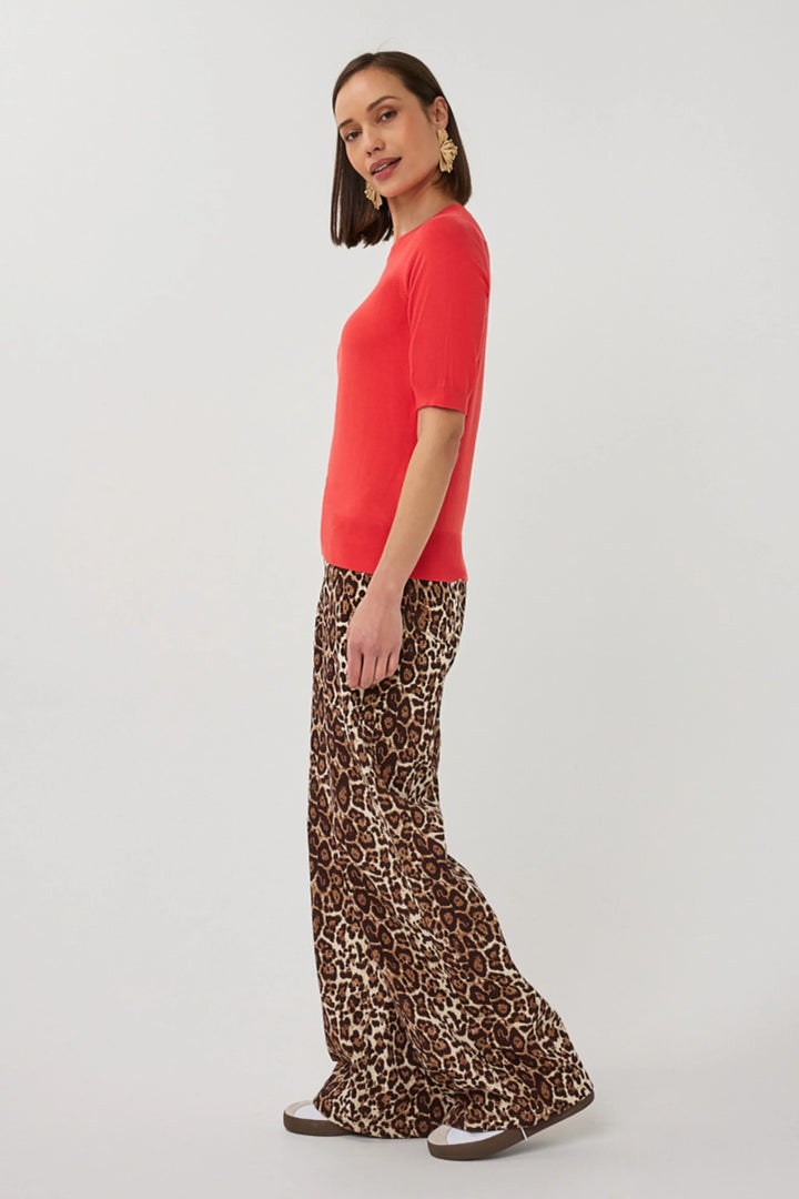 Scarlet Denim - Teal Poppy