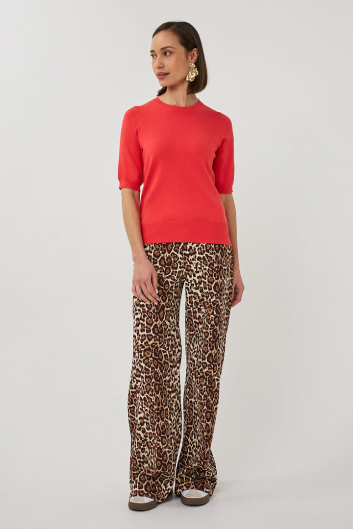 Scarlet Denim - Teal Poppy