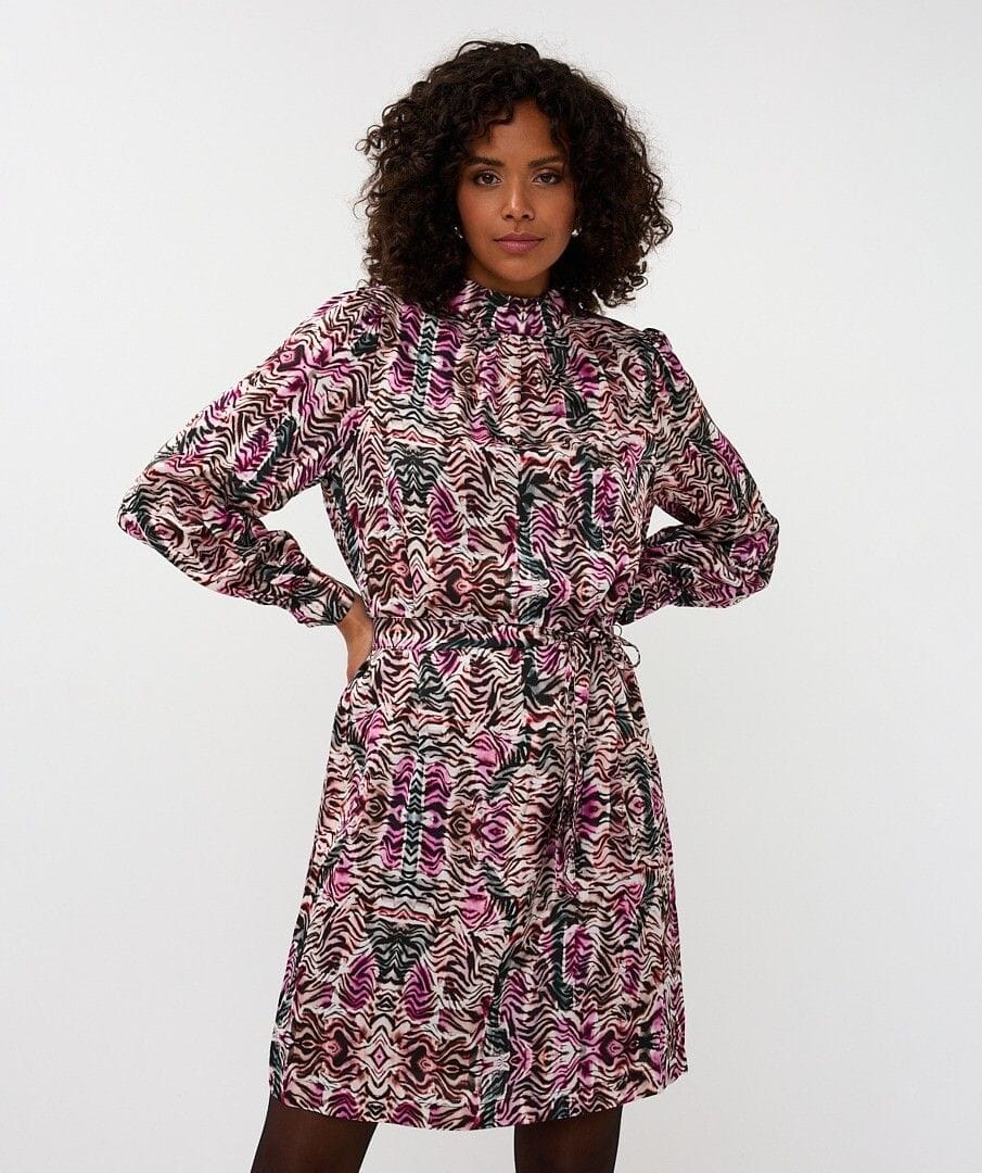 Esqualo Dress Print / 4 Dana Zebra Print Dress