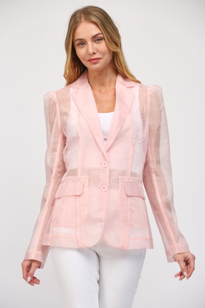 Fate Blazer Pink / S Elena Sheer Blazer