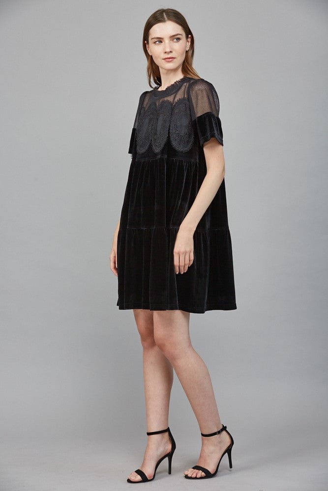Fate Dress Victoria Lace Contrast Dress