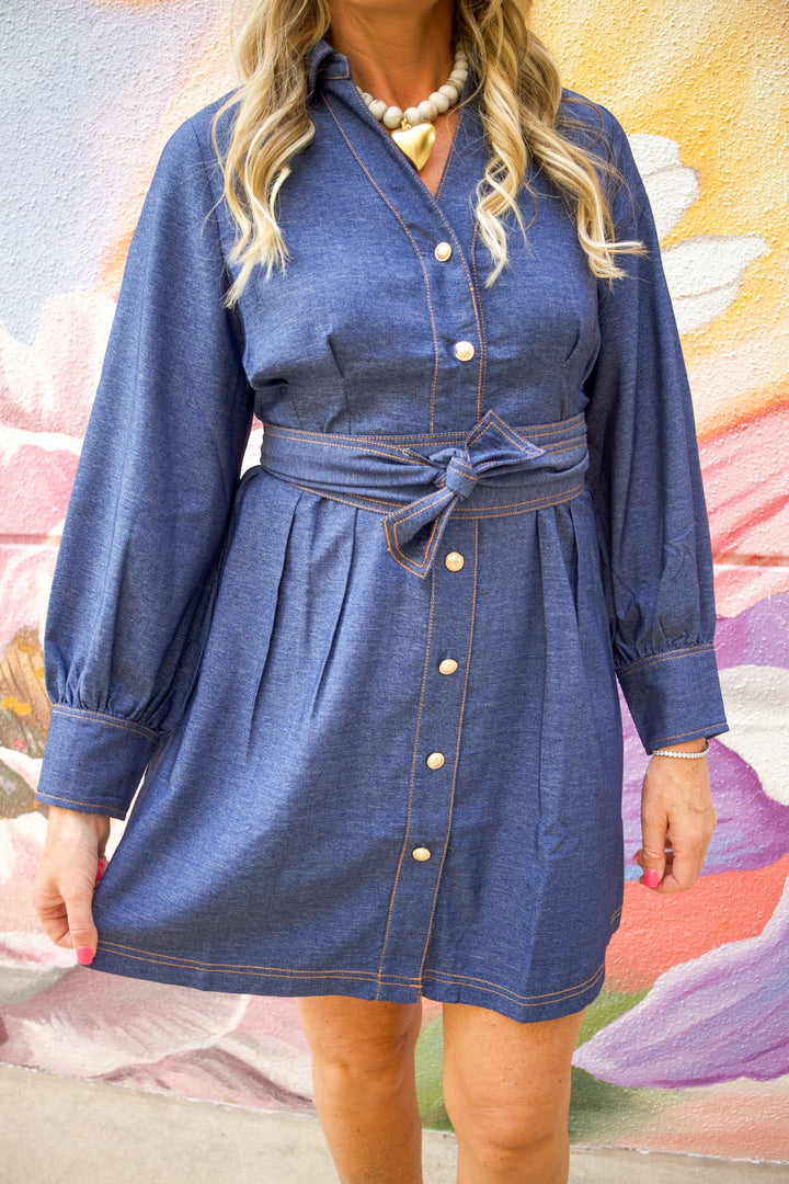 Jade Dress Luna Collared Shirt Dress