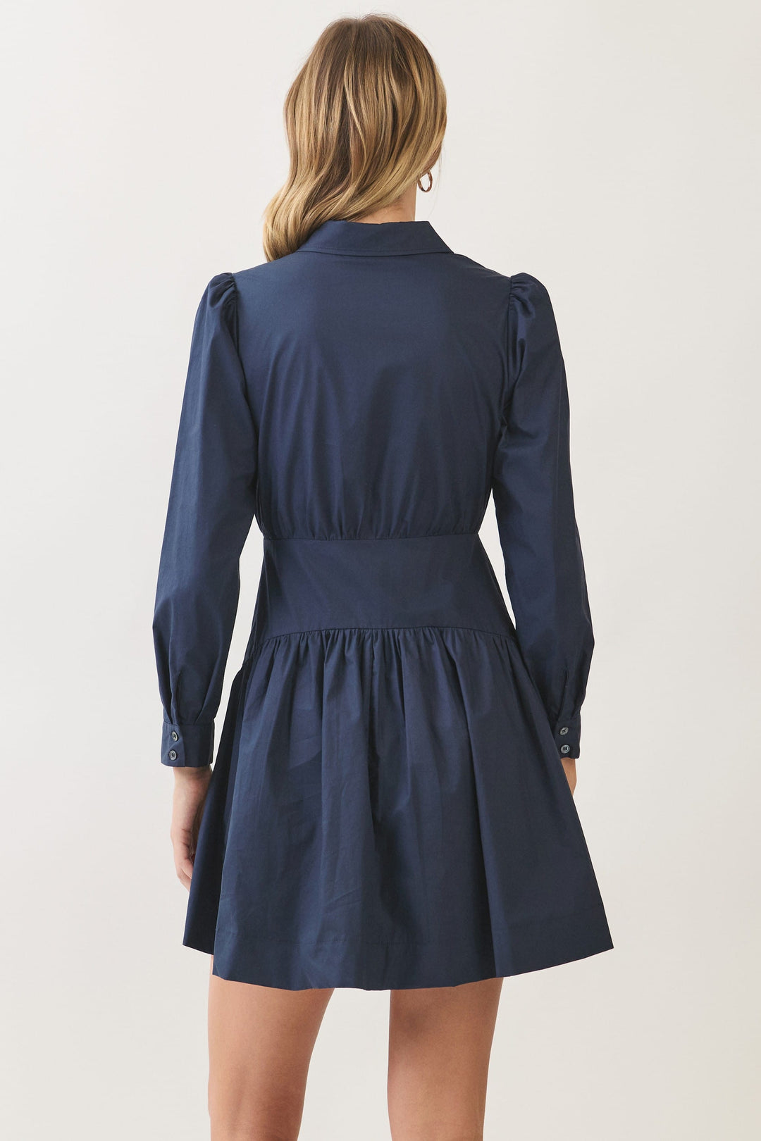 Pinch Mini Dress Molly Button Down Mini Dress