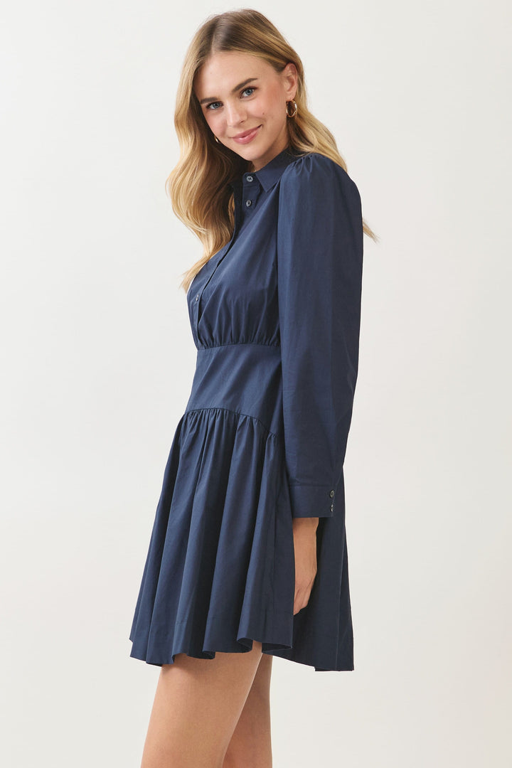 Pinch Mini Dress Molly Button Down Mini Dress