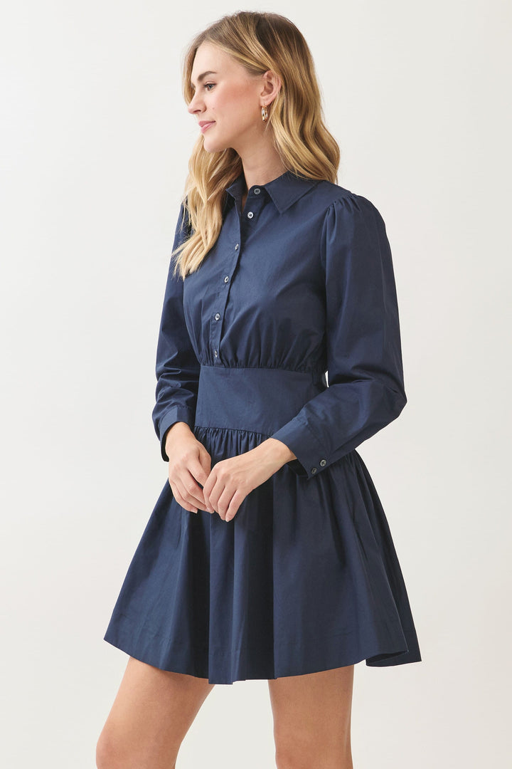 Pinch Mini Dress Molly Button Down Mini Dress