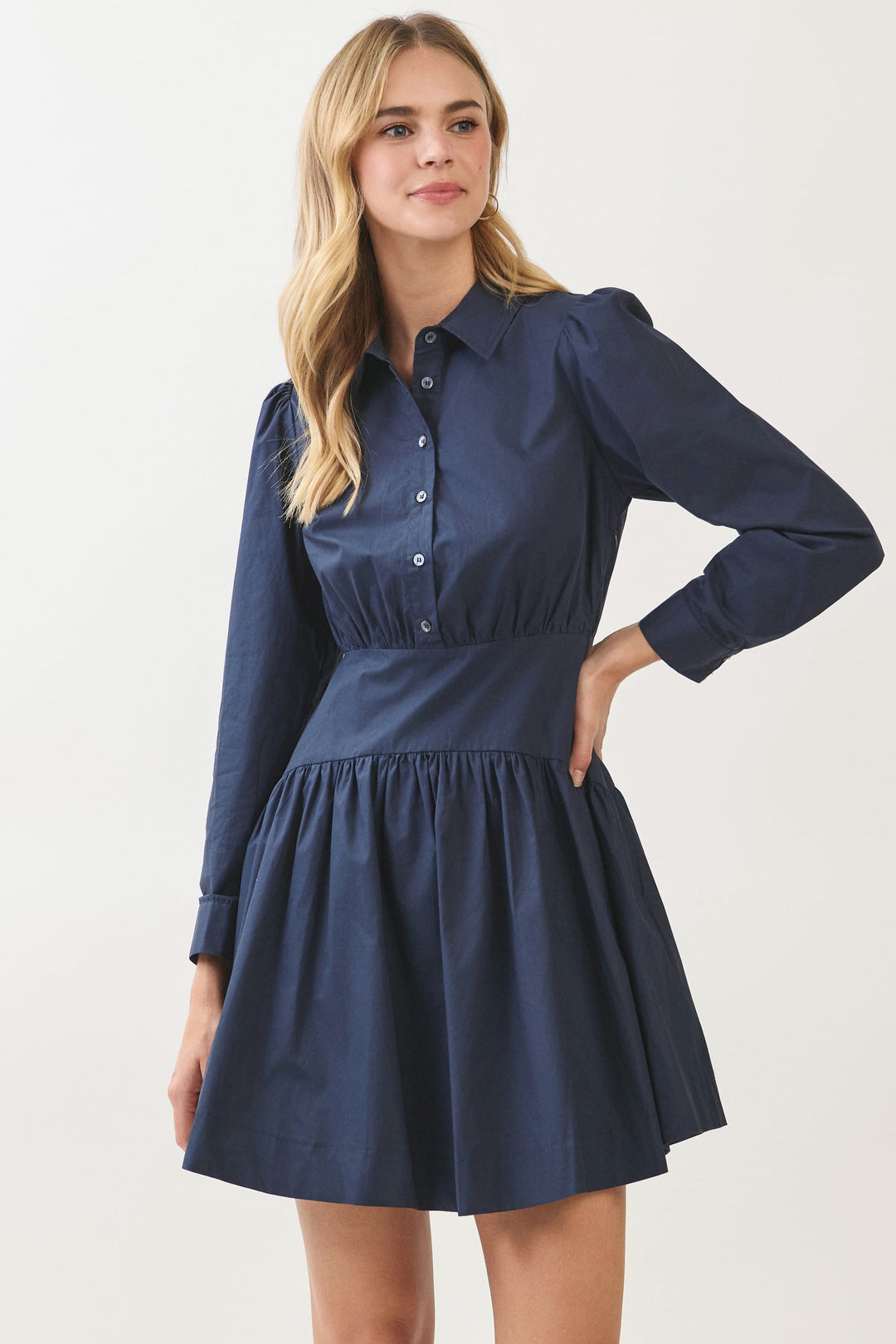 Pinch Mini Dress Molly Button Down Mini Dress