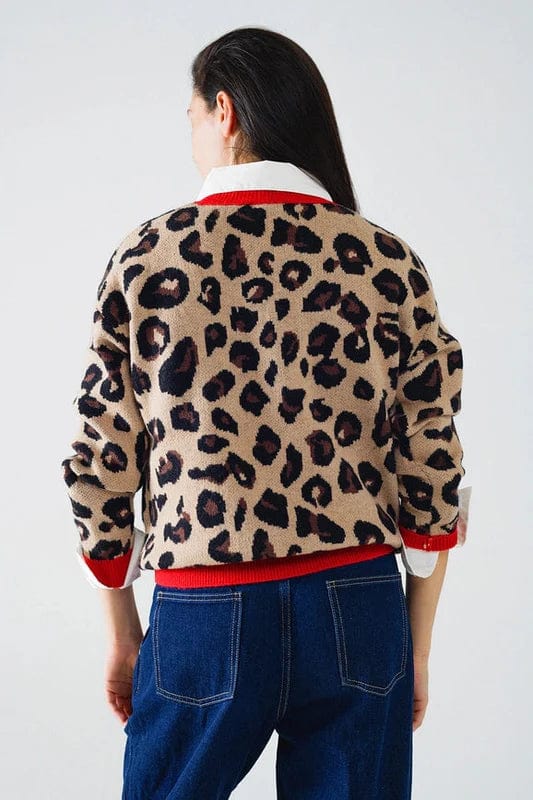 Q2 Sweater Brown / OS Quinn Leopard Sweater