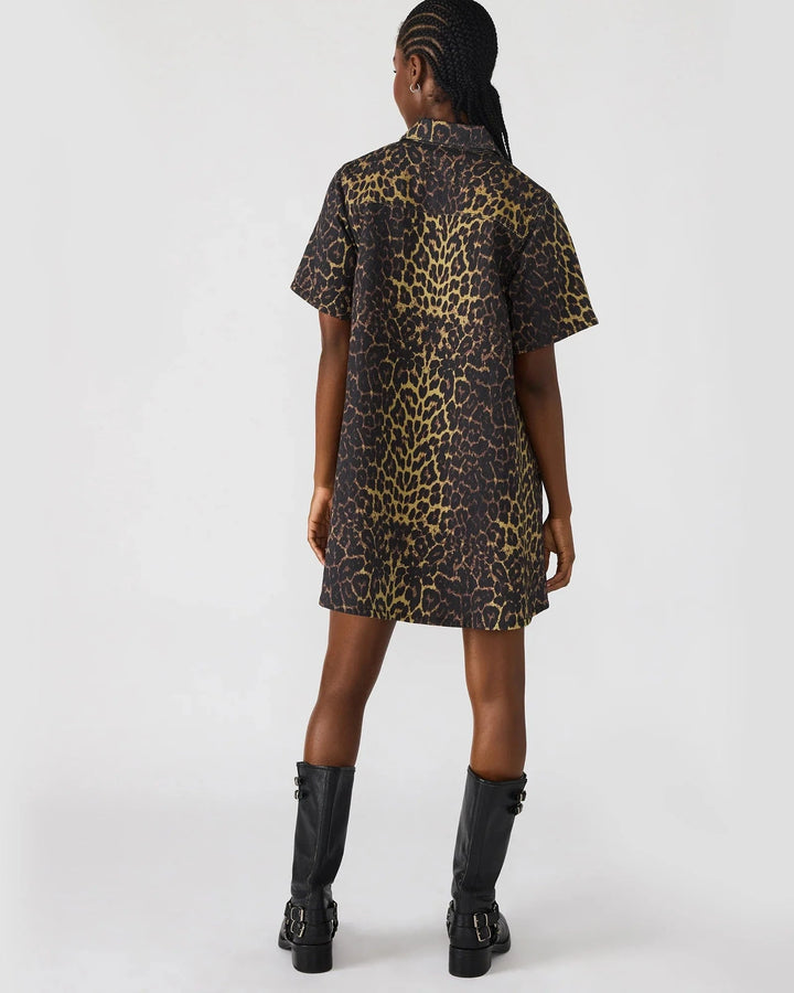 Steve Madden Dress Freddy Dress