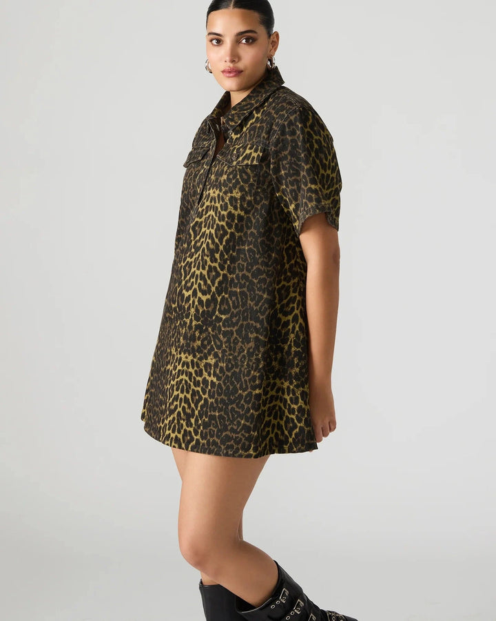 Steve Madden Dress Freddy Dress