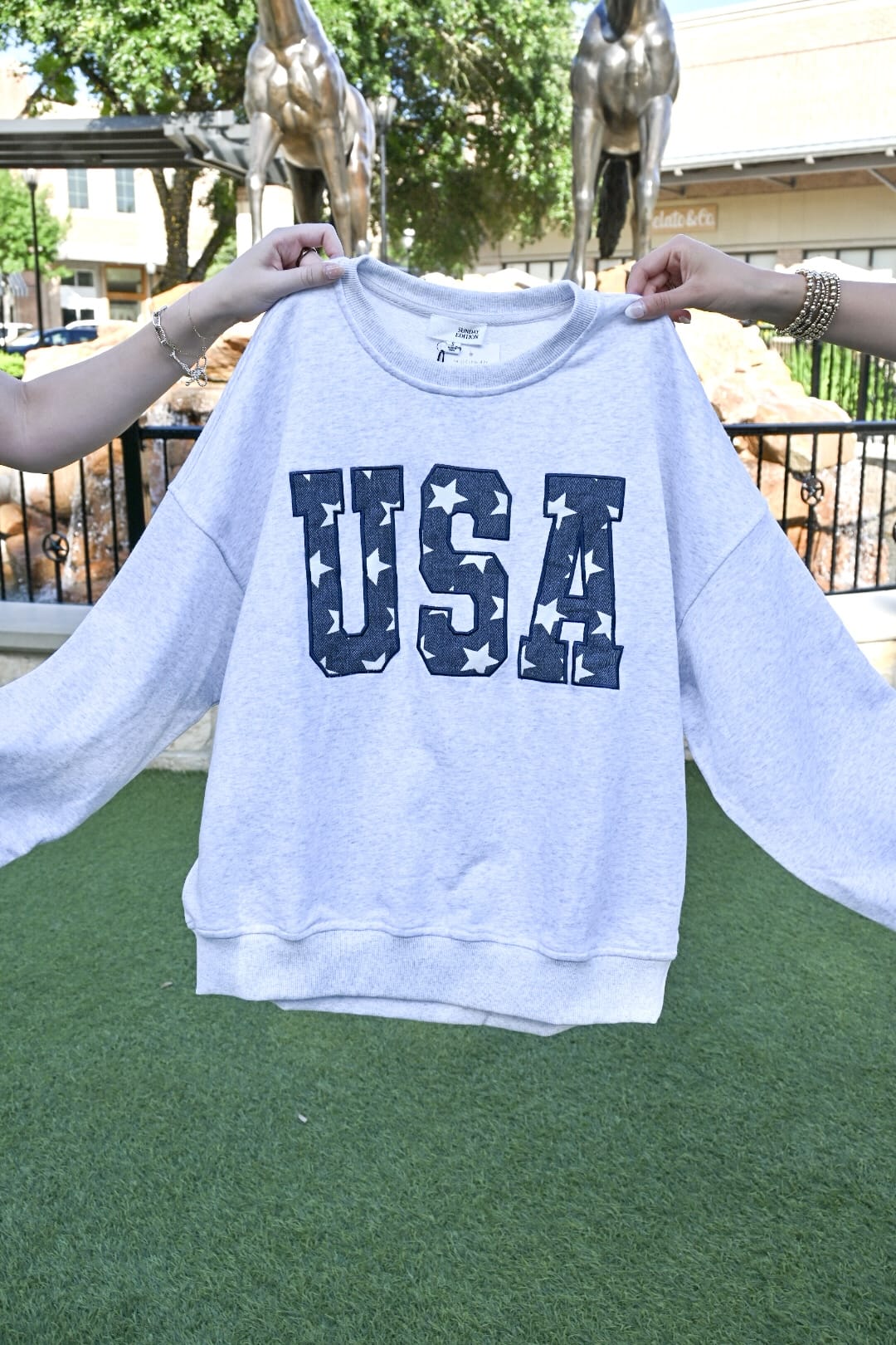 Sunday Edition Sweatshirt USA Embroidery Sweatshirt