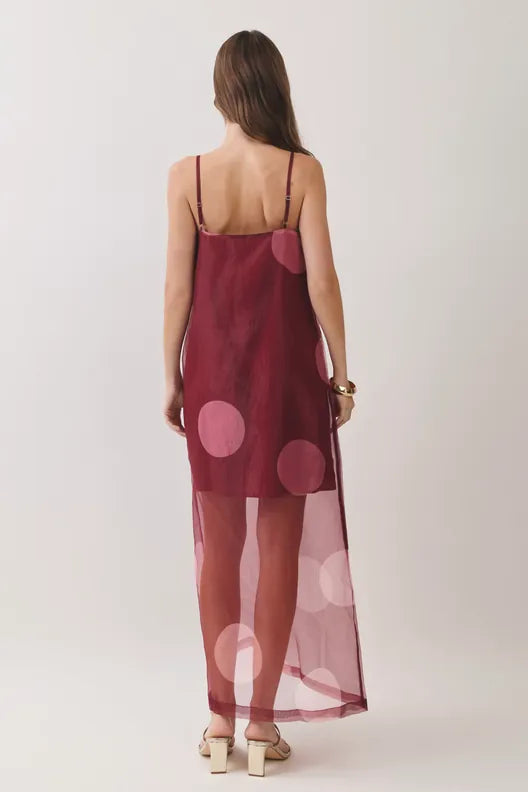TCEC Maxi Dress Vera Polka Dot Sheer Maxi Dress