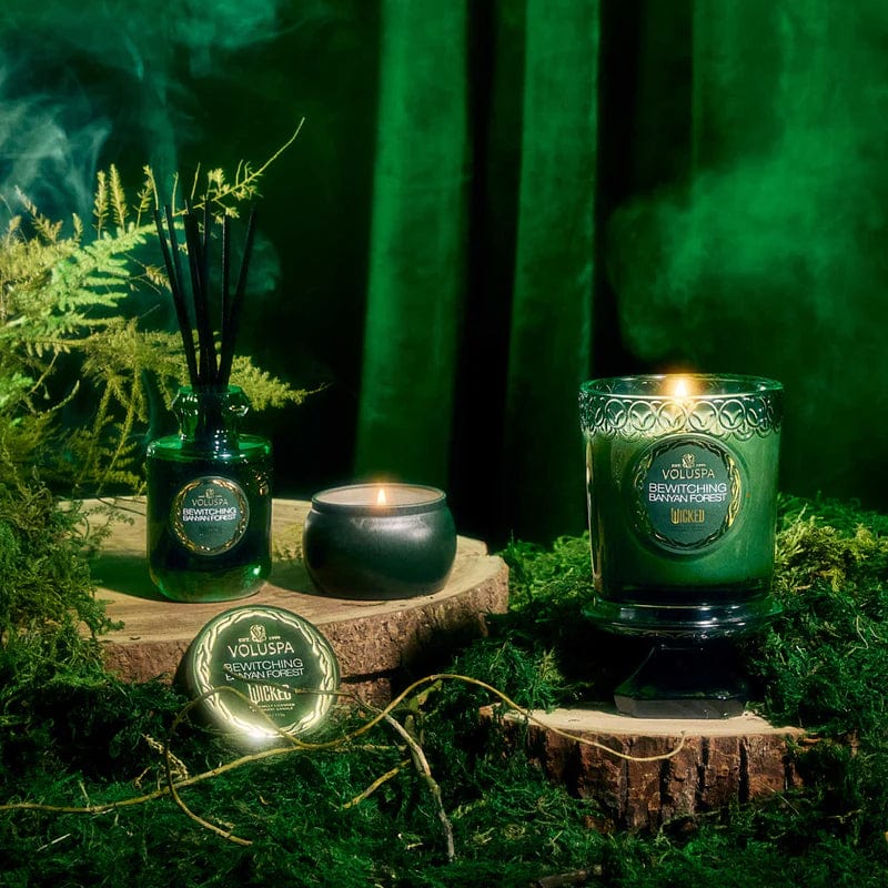 Voluspa Candles Bewitching Banyan Forest