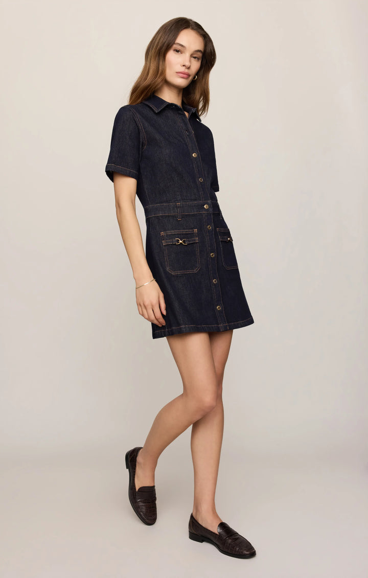 Z Supply Mini Dress Crush Denim Mini Dress